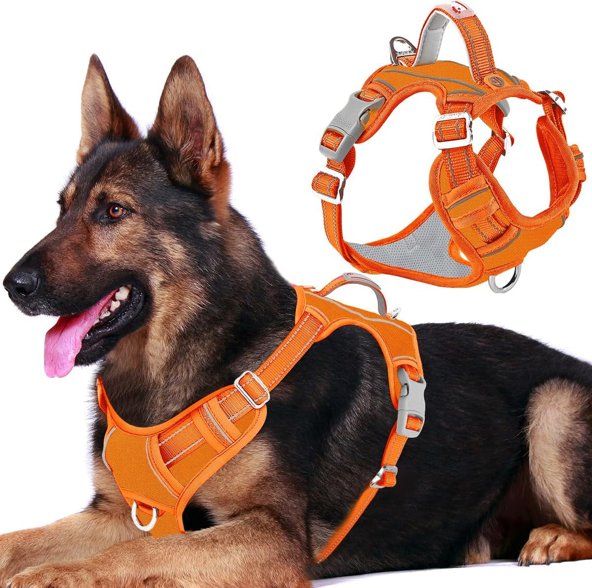 barkbay-dog-harness-no-pull-with-id-tag-pocket-heavy-duty-reflective-easy-control-for-large-dogsblue-l