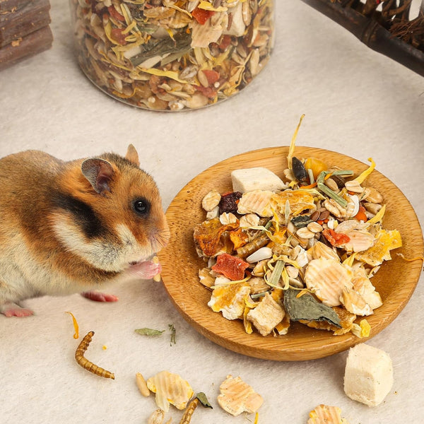 Abizoo Hamster & Gerbil Treat, Natural Health, Gourmet Hamster and Gerbil Food for Small Animals with Seeds, and Grains,Vitamin-Nutrient Fortified5