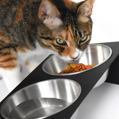 Xympo Elevated Pet Bowl, for Cats and Small Dogs3