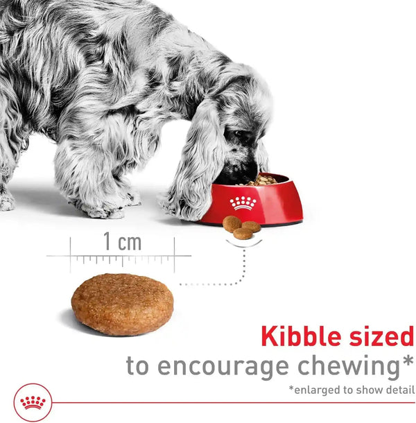 ROYAL CANIN Size Health Nutrition Medium Adult Dry Dog Food, 17 Lb Bag3
