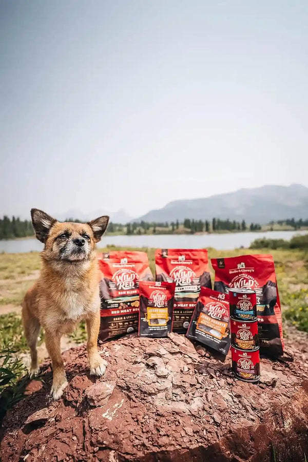 Stella & Chewy'S Wild Red Blend GF Red Meat Dry Dog Food, 3.5 Lb9