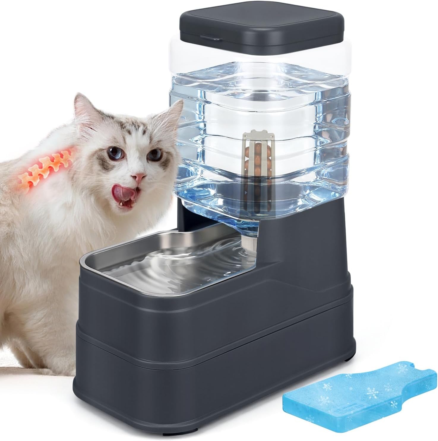 2-2-gallon-pet-automatic-dog-water-dispenser-cat-gravity-waterer-feeder-with-stainless-steel-bowl-8l-large-capacity-puppy-feeding-raised-bowls-with-filter-ice-pack