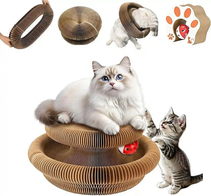 Kitty Curls Cat Toy,Foldable Magic Organ Cat Toy,Magic Organ Cat Scratcher Board,Foldable Recyclable Cat Accordion Toy for Indoor Cat Playing,Interactive Scratch Pad with Toy Ball1
