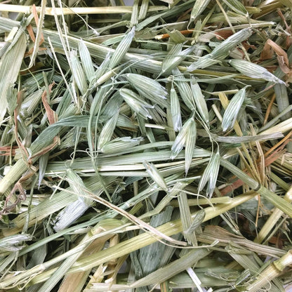 Oxbow Oat Hay, Rabbit & Guinea Pig Hay, High Fiber for Digestive Health, Grown in the USA, Veterinarian Recommended Small Pet Supplies, for Rabbits, Guinea Pigs, & Chinchillas, 15 Oz. | Oxbow Oat Hay, Bunny Hay for Rabbits, Guinea Pigs, Bunnies and Chinchillas, Hand-Sorted, De-Dusted, Made in USA6