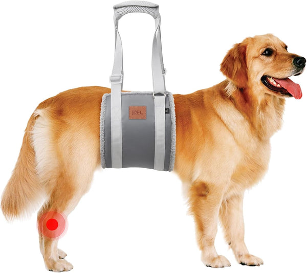 Adjustable Dog Lift Harness Dog Sling for Large Dogs Hind Leg Support Soft Lift Support and Rehab Harness for Weak Rear Legs, Helps Senior, Injured, Disabled and after ACL Surgery Dogs Large15