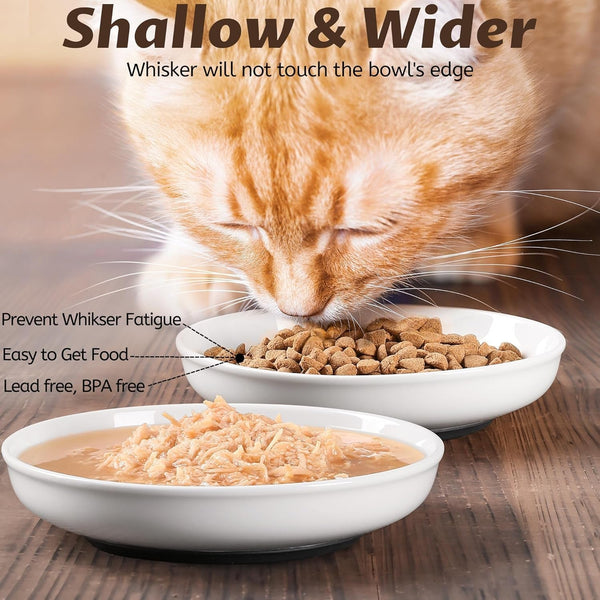 WROSWT No Spill Cat Bowls,Cat Food Bowl,Anti Whisker Fatigue Healthy Ceramic Cats Dishes Set for Indoor Cats,Shallow Wide Kitten Plates for Food and Water,Non-Slip Silicone Bottom,3 Pack6