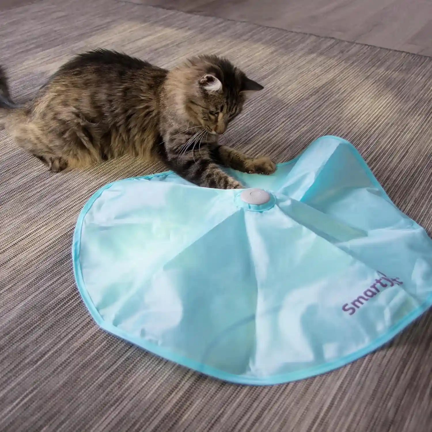smartykat-electronic-motion-moving-toys-for-cats-kittens-battery-powered-mimics-motion-of-real-prey-fun-interactive-play-multiple-styles