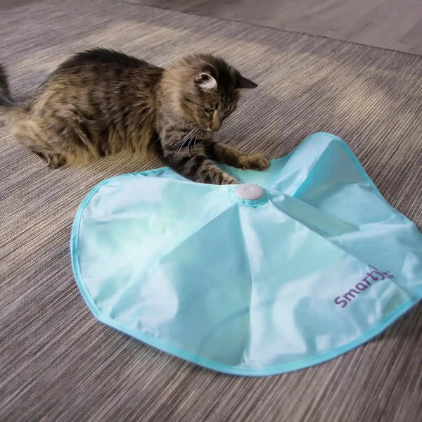 Smartykat Electronic Motion/Moving Toys for Cats & Kittens, Battery Powered, Mimics Motion of Real Prey, Fun & Interactive Play - Multiple Styles10