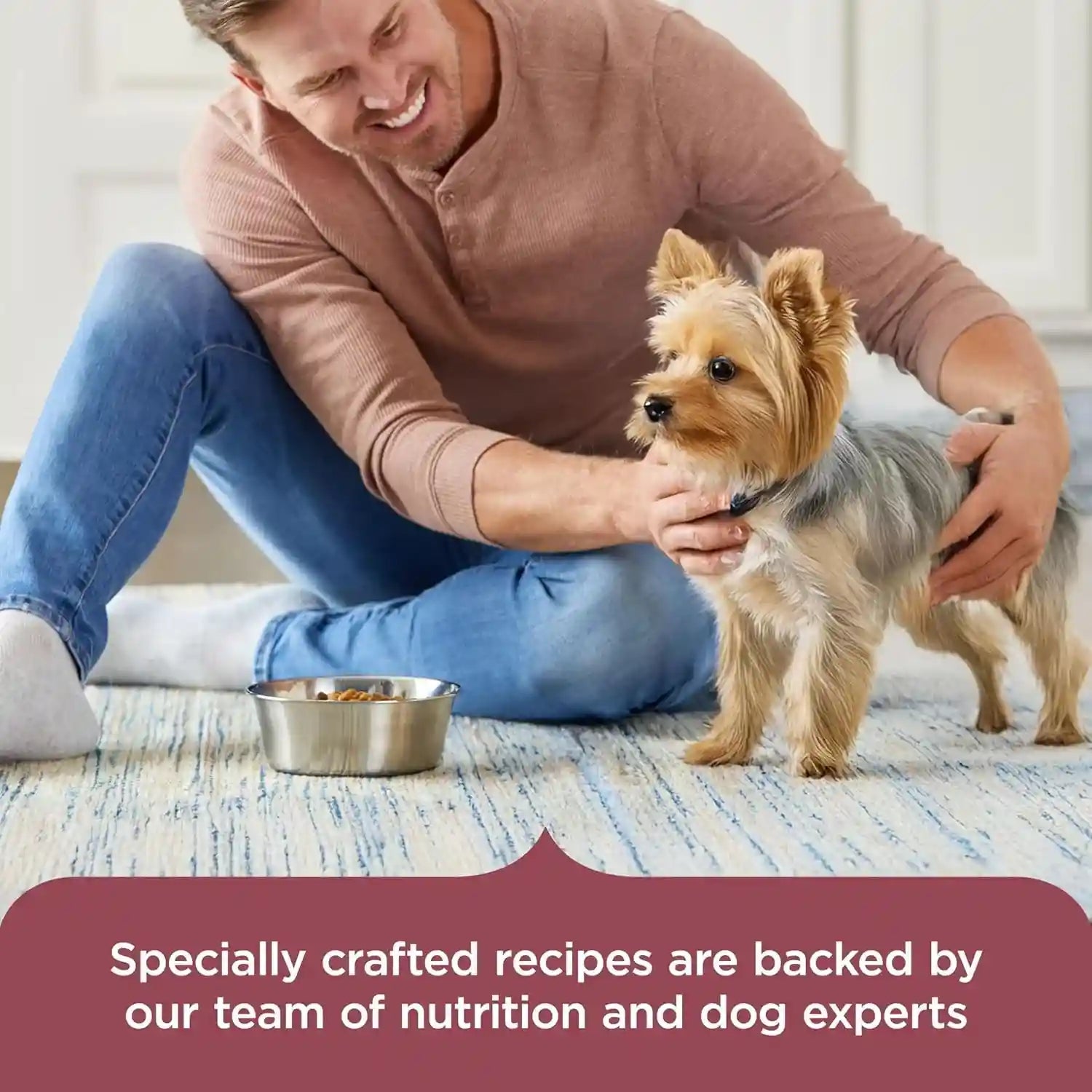 nutrish-small-breed-dry-dog-food-with-chicken-5-lb-bag-rachael-ray-suitable-for-small-adult-dogs-veterinarian-reviewed-formula-made-with-no-artificial-flavors