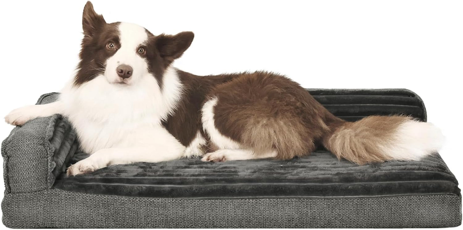 windracing-orthopedic-dog-beds-for-medium-dogs-waterproof-egg-foam-dog-sofa-bed-with-l-bolster-sides-washable-medium-pet-bed-with-removable-cover-non-slip-bottom-36-x-23-inch-gray