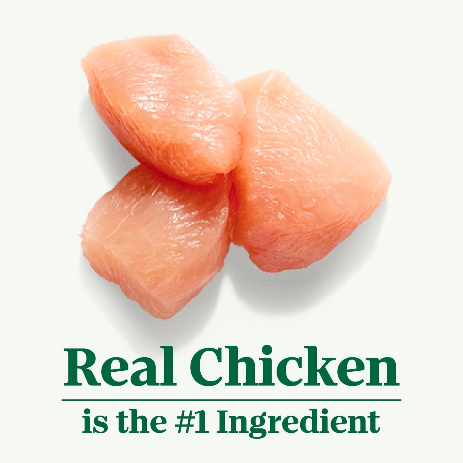 nutro-wholesome-essentials-sensitive-stomach-dry-cat-food-chicken-5-lb-real-chicken-1-ingredient-easily-digestible-omega-6-for-skin-coat-no-corn-wheat-soy-no-artificial-additives