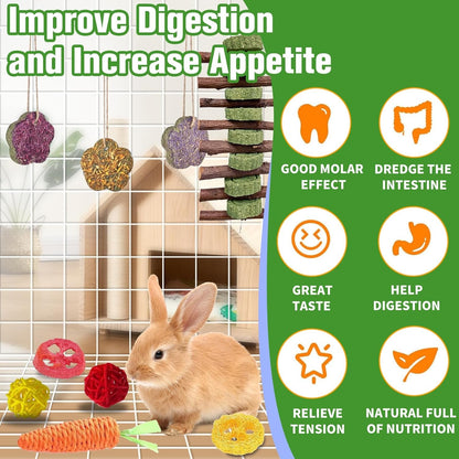 WDEFUN 21PCS Rabbit Chew Toys for Teeth Grinding, Natural Timothy Hay Cakes Treats for Bunny, Organic Apple Wood Sticks Toy Set for Guinea Pigs, Hamsters, Chinchillas,Dental Health & Boredom Relief5
