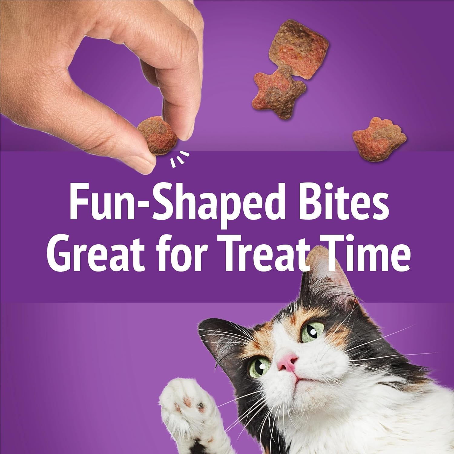 purina-friskies-cat-treats-party-mix-gravy-licious-crunch-turkey-and-gravy-flavors-pack-of-6-6-oz-pouches