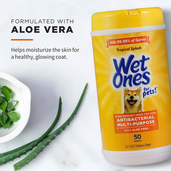 Wet Ones for Pets Antibacterial Dog Wipes, Tropical Splash, 50 Count | Multi-Purpose Grooming Wipes with Aloe Vera for Paws, Face, and Body; Easy Cleanups between Baths3