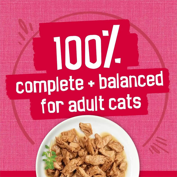 Purina Friskies Prime Filets with Salmon and Beef in Sauce High Protein Wet Cat Food - (Pack of 24) 5.5 Oz. Cans6