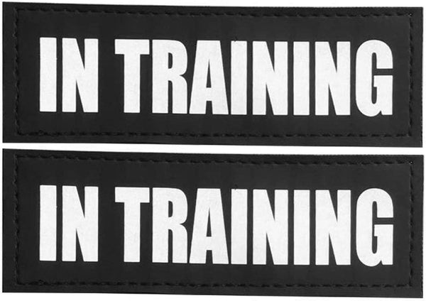 Fairwin Dog Patches, Reflective and Removable Dog Tags for Service Vest Dog Harness (DO NOT PET, Xs:3.5"X1")10