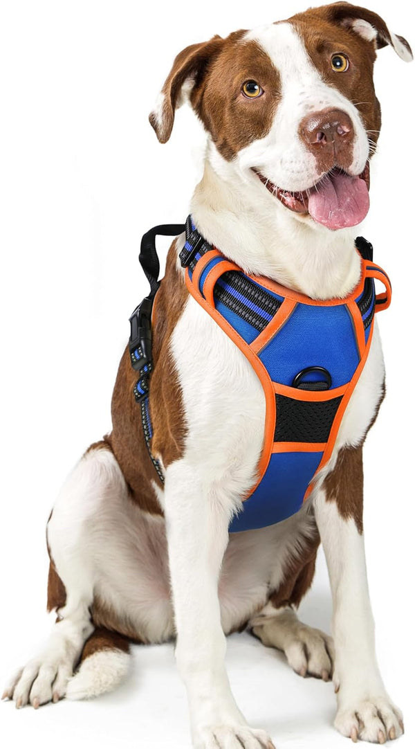 Rabbitgoo Dog Harness, No Pull for Large Dogs with 2 Leash Clips, Pet Vest | No Choke with Handle, Adjustable Soft Padded, Reflective, Easy Control for Walking, Black, Large22