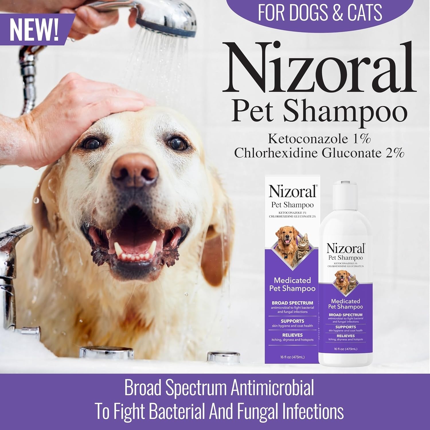 nizoral-ketoconazole-pet-shampoo-for-dogs-and-cats-16-oz-1-ketoconazole-2-chlorhexidine-gluconate-antifungal-antimicrobial-support-skin-health-odor-control-dog-itching-skin-relief-shampoo