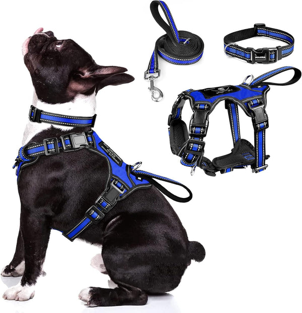 WINSEE Pet Harness Collar and Leash Set, All-In-One Reflective Dog Harness No Pull with Adjustable Buckles for Puppies, Small, Medium, Large, and Extra-Large Dogs (Large, Pink)14
