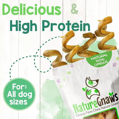 Nature Gnaws Bully Stick Springs for Dogs 7-8" (6 Count) - Long Lasting for Aggressive Chewers - Natural Curly Beef Dog Chew Bones - Rawhide Free5