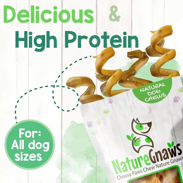Nature Gnaws Bully Stick Springs for Dogs 7-8" (6 Count) - Long Lasting for Aggressive Chewers - Natural Curly Beef Dog Chew Bones - Rawhide Free5