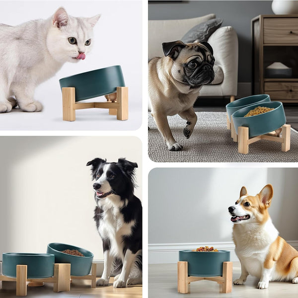 SPUNKYJUNKY 15° Slanted Ceramic Dog and Cat Bowl with Wooden Stand, Tilted Bulldog Food and Water Bowl No Slip Non-Spill for Cats Medium Dogs Big Face Pets 13.5 OZ (1.7 Cups, Green × 2)8