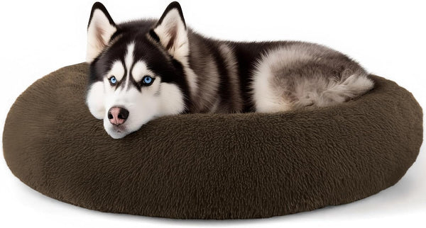 Hoewina Dog & Cat Bed for Indoor Cats, 20In Calming Donut Bed for Puppy and Kitten, Washable round Fluffy Pet Bed for Small Medium Dogs and Cats (Light Grey)32