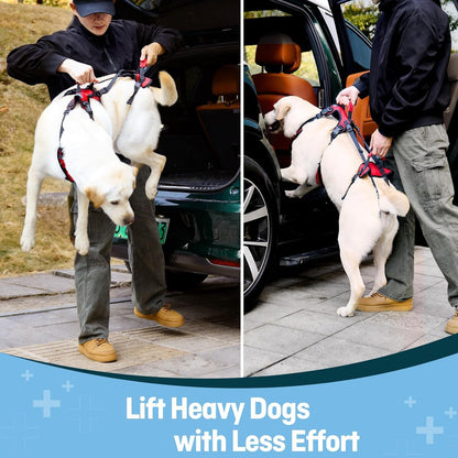 Dog Lifting Harness for Medium Dogs, Dual Handle Dog Support Harness for Daily Walking Assistance, Male Dog-Friendly, Breathable & Easy on Mobility Aid, Red, M5
