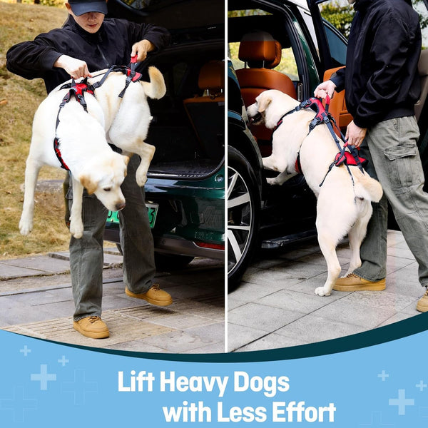Dog Lifting Harness for Medium Dogs, Dual Handle Dog Support Harness for Daily Walking Assistance, Male Dog-Friendly, Breathable & Easy on Mobility Aid, Red, M5