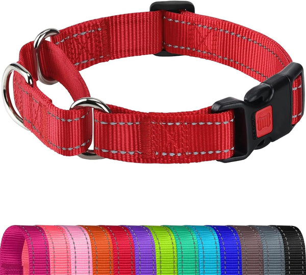 Joytale Martingale Collar for Dogs, Escape Proof No Pull, Hotpink, M | Gentle Cinch Stops Pulling without Choking, Safety Lock Buckle, Reflective Stitching for Night Walks, Soft Nylon18