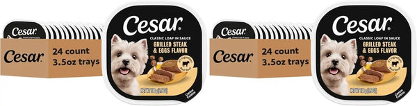 Cesar Classic Loaf in Sauce Wet Dog Food, Filet Mignon, 3.5 Oz, 24 Count | Made in USA, Real Beef #1 Ingredient, No Fillers/Added Sugar/Artificial Flavors, Use as Meal or Topper, Easy Peel Trays23