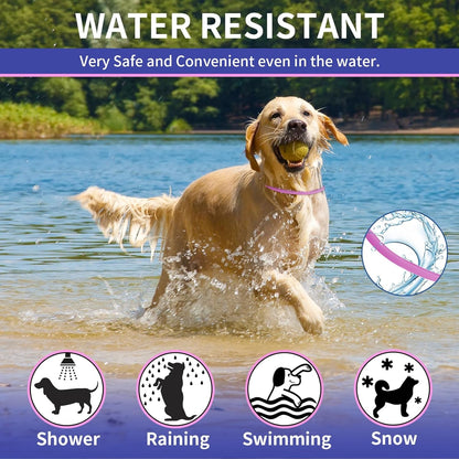 YOTANGO Flea Collar for Dogs, Dog Flea and Tick Collar, 4 Pack, 32 Months | Waterproof, Adjustable, and Lightweight for Dogs and Puppies. Four Collars Offer 32 Months and Start within 24 Hours.6