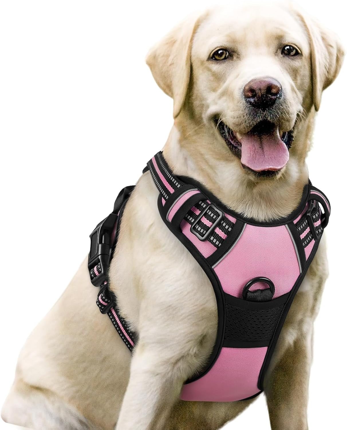 rabbitgoo-dog-harness-no-pull-for-large-dogs-with-2-leash-clips-pet-vest-no-choke-with-handle-adjustable-soft-padded-reflective-easy-control-for-walking-black-large