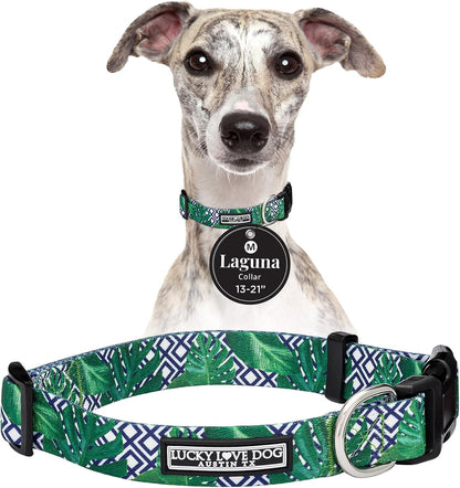 Lucky Love Dog - Easy Click Buckle Dog Collar with Leash Set Combo, Durable & Comfortable for Male & Female Dogs, Pet Collar for Medium Dogs, Secure Fit - Blackbird Combo, Medium71