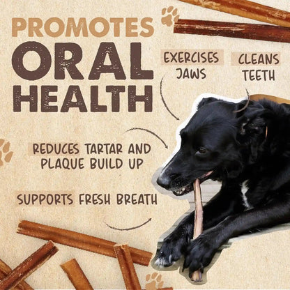 Mighty Paw 12" Bully Sticks for Dogs - Large, Medium and Small Breeds Chew | Single Ingredient, Grass-Fed, Lower Odor, 5 Pack, High Protein, Boredom Buster, All-Natural Sticks7