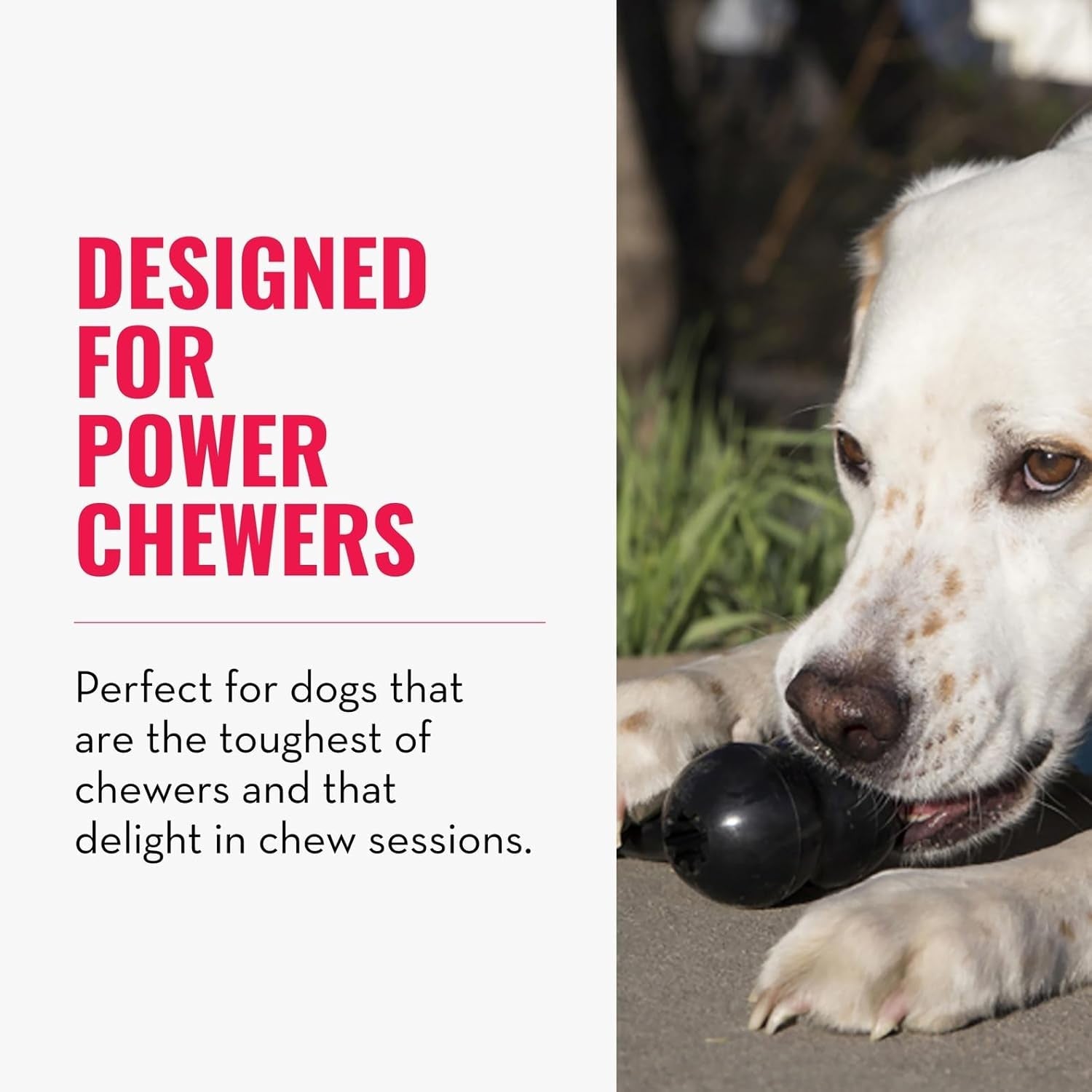 kong-extreme-goodie-bone-kongs-most-durable-natural-rubber-dog-bone-for-power-chewers-black-for-medium-dogs