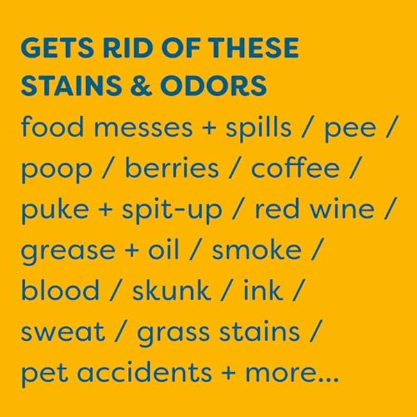 KIDS 'N' PETS Stain & Odor Remover for Carpet, Fabric & Furniture, 32 Oz | Dog Pee & Cat Urine5