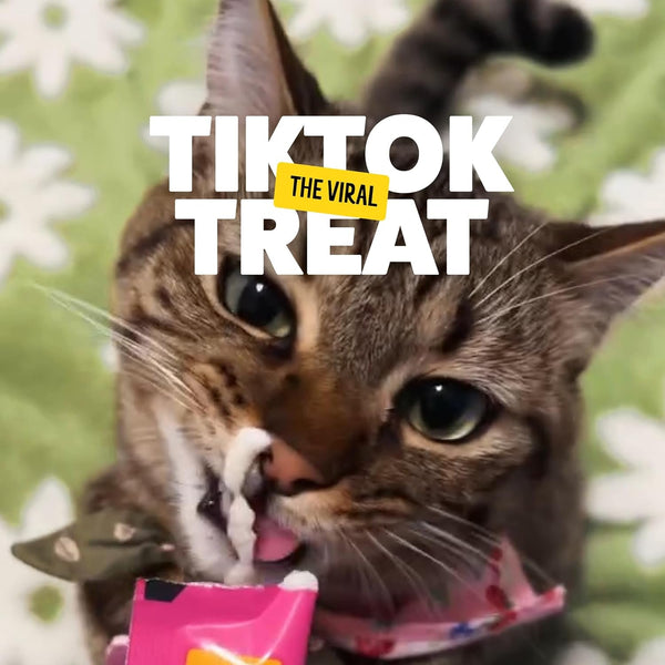 Bonkers Licky Tubes Chicken Flavored Wet Cat Treats, 4 Pieces (Pack of 15)4