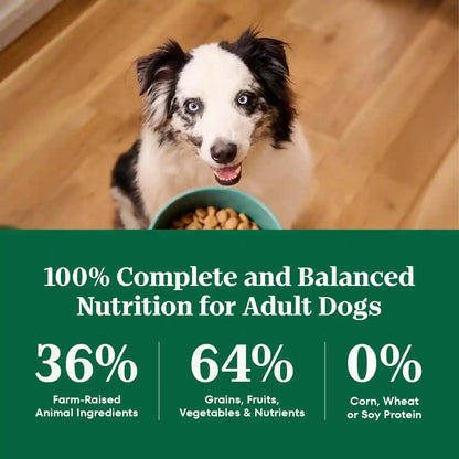 Nutro Natural Choice Healthy Weight Dry Dog Food, Chicken & Rice, 30 Lb | Non-Gmo, Chicken #1 Ingredient, No Corn, Wheat, Soy, Supports Weight Loss, Skin & Coat, Digestive & Immune Health8