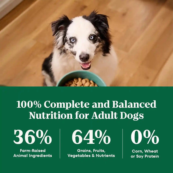Nutro Natural Choice Healthy Weight Dry Dog Food, Chicken & Rice, 30 Lb | Non-Gmo, Chicken #1 Ingredient, No Corn, Wheat, Soy, Supports Weight Loss, Skin & Coat, Digestive & Immune Health8