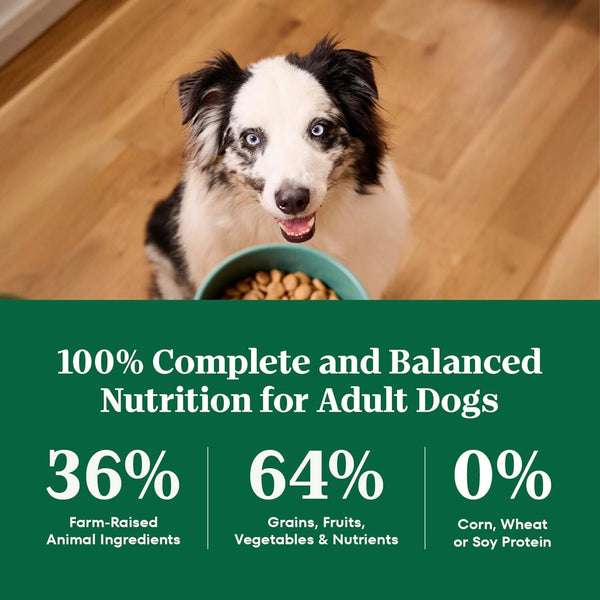 Nutro Natural Choice Healthy Weight Dry Dog Food, Chicken & Rice, 30 Lb | Non-Gmo, Chicken #1 Ingredient, No Corn, Wheat, Soy, Supports Weight Loss, Skin & Coat, Digestive & Immune Health8