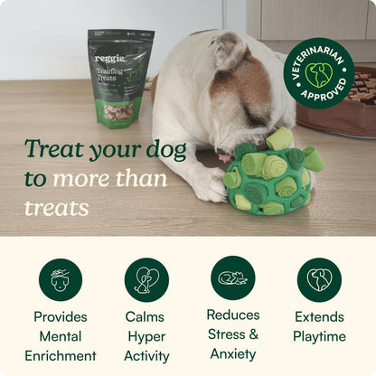 Reggie Forager Ball for Dogs | Interactive Treat Dispensing Dog Enrichment Toys | Reduces Boredom, Stress & Hyperactivity | Snuffle Toys for Dogs | Durable & Washable Dog Puzzle Toy2