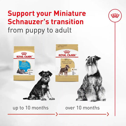ROYAL CANIN Breed Health Nutrition Miniature Schnauzer Adult Dry Dog Food, 10 Lb Bag8