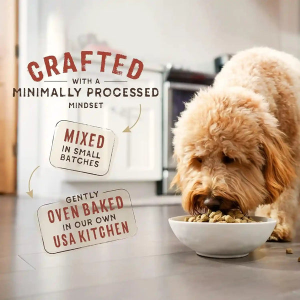 Stella & Chewy'S Superblends Raw Blend Wholesome Grains Grass-Fed Beef, Beef Liver & Lamb Recipe with Superfoods, 3.25 Lb. Bag4