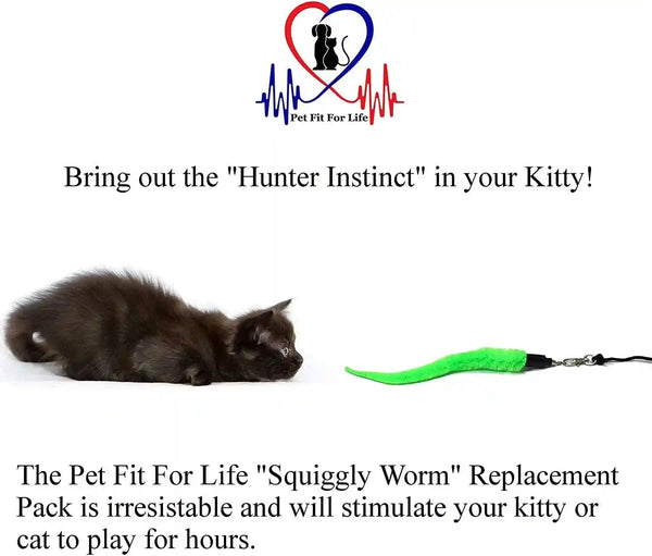 Pet Fit for Life 5 Piece Replacement Pack of Worms for Cat and Kitten Toy | Replacement for Interactive Wand & Catch Wand with 5 Assorted Soft Squiggly Worm Attachments. Easy Storage after Play.5