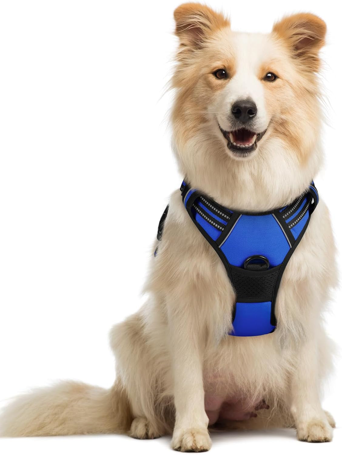 rabbitgoo-dog-harness-no-pull-for-large-dogs-with-2-leash-clips-pet-vest-no-choke-with-handle-adjustable-soft-padded-reflective-easy-control-for-walking-black-large