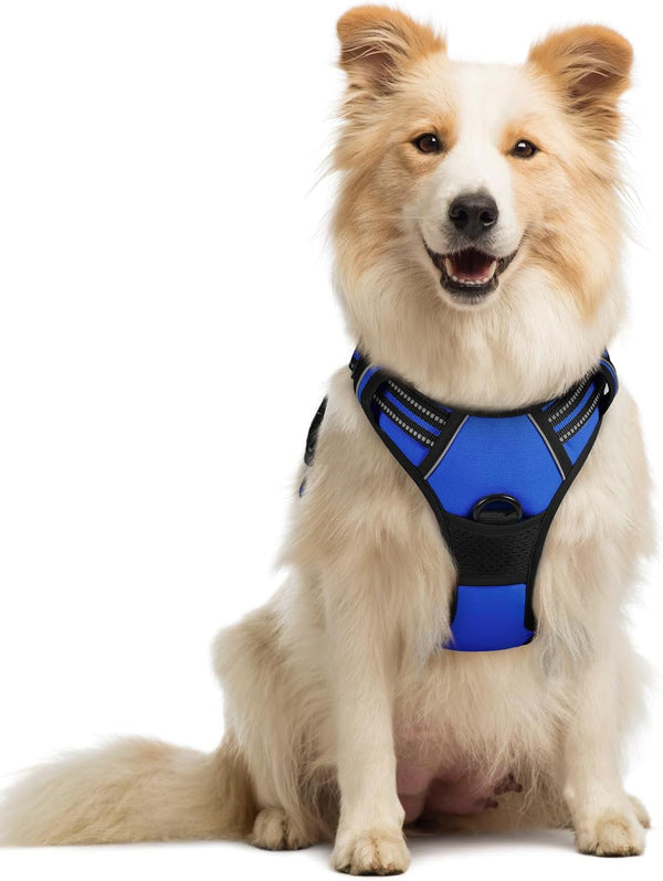 Rabbitgoo Dog Harness, No Pull for Large Dogs with 2 Leash Clips, Pet Vest | No Choke with Handle, Adjustable Soft Padded, Reflective, Easy Control for Walking, Black, Large107