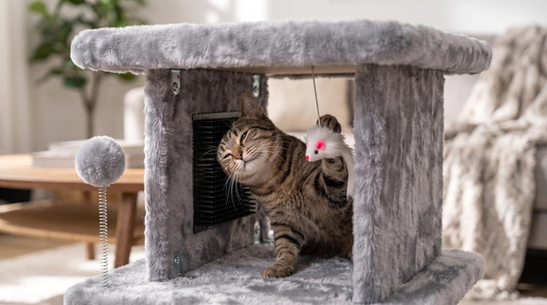 Large Cat Bed with Scratching Post and Combing Board, Sturdy and Durable, Ideal for Small Breeds | Large Plush Cat Tunnel with a Removable Sisal Scratch Pad, Grooming Brush, Hanging Toys, and Spacious Hideaway for Cats.4