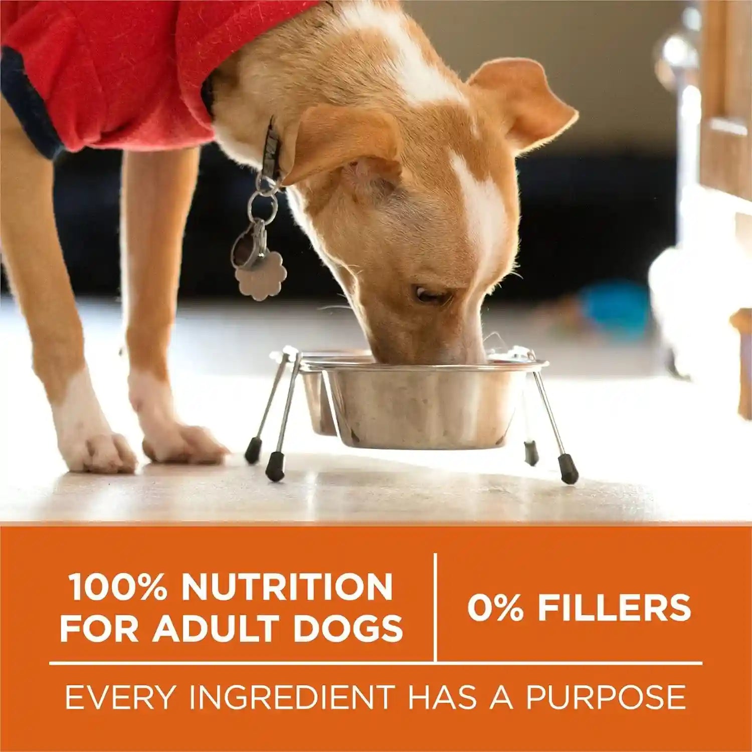 purina-one-plus-healthy-weight-high-protein-dog-food-dry-formula-16-5-lb-bag