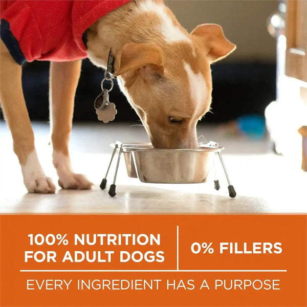 Purina ONE plus Healthy Weight High-Protein Dog Food Dry Formula - 16.5 Lb. Bag8